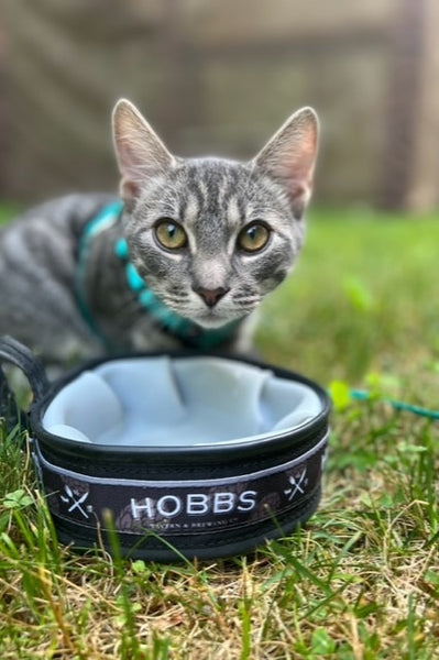 Hobbs Tavern CycleDog Travel Pet Bowl